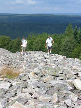 tag3_031